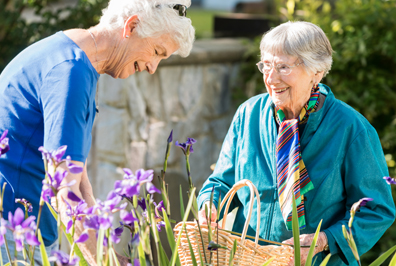 Two senior women picking flowers at StoneRidge Senior Living Community in Mystic, CT