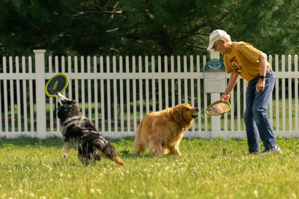 A resident of StoneRidge playing with his dogs and exploring the benefits of living in a retirement community in Mystic, CT.