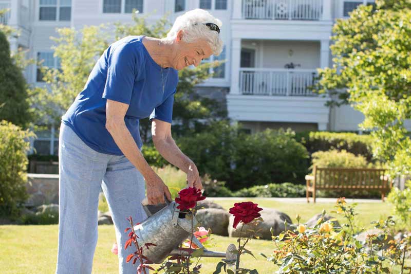 senior woman waters flowers in her garden