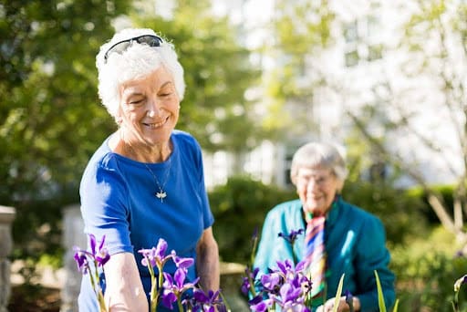 senior lady working in flower garden